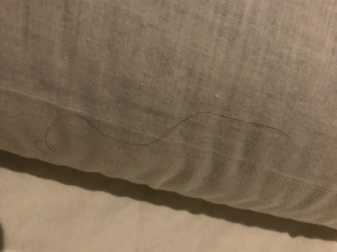 Hostal Restaurante la Trucha主图