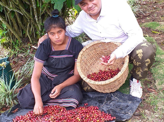 Coffea diversa-Buenos Aires必去景点