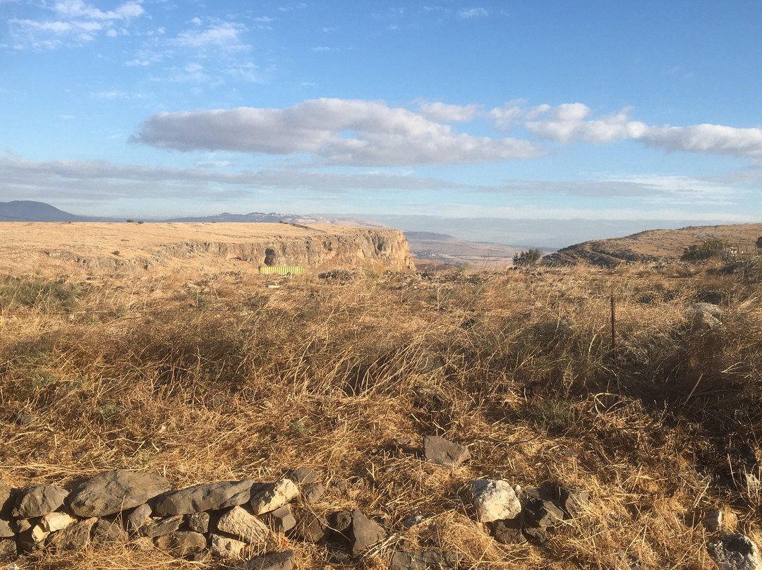 Arbel Guest House Shavit Family主图