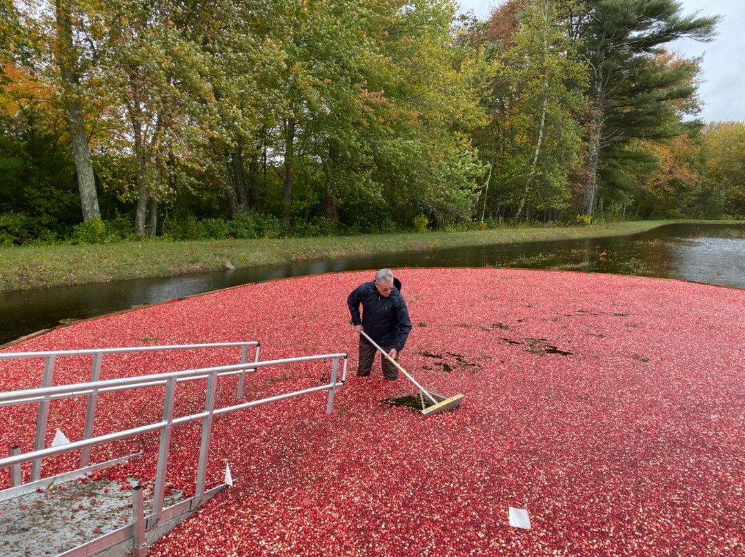 Stone Bridge Farm-Acushnet必去景点