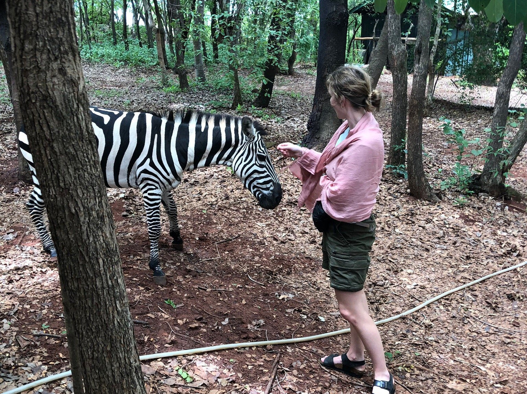 Jakobsen's Beach and Guesthouse主图