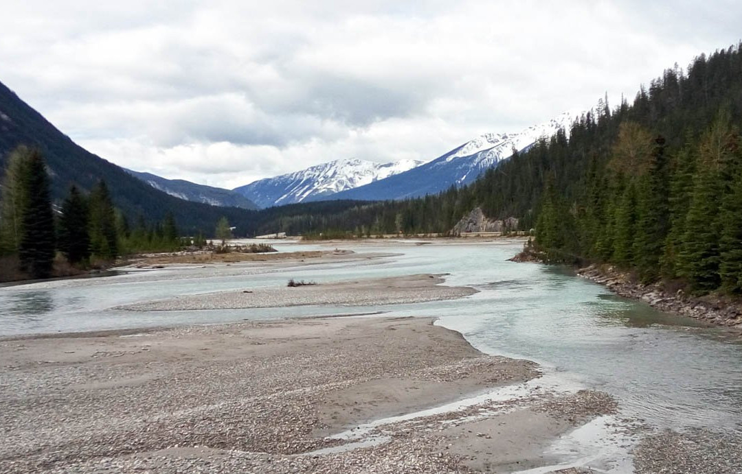 Kicking Horse River景点图片