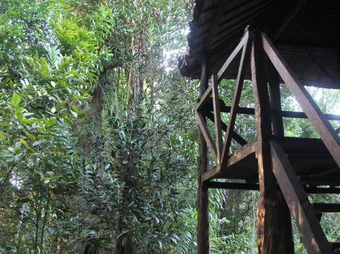 Masoala Forest Lodge主图