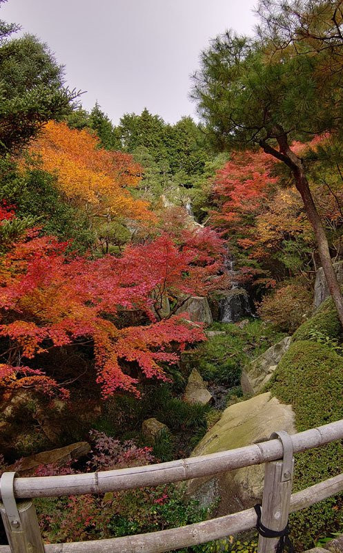 Sankeien景点图片