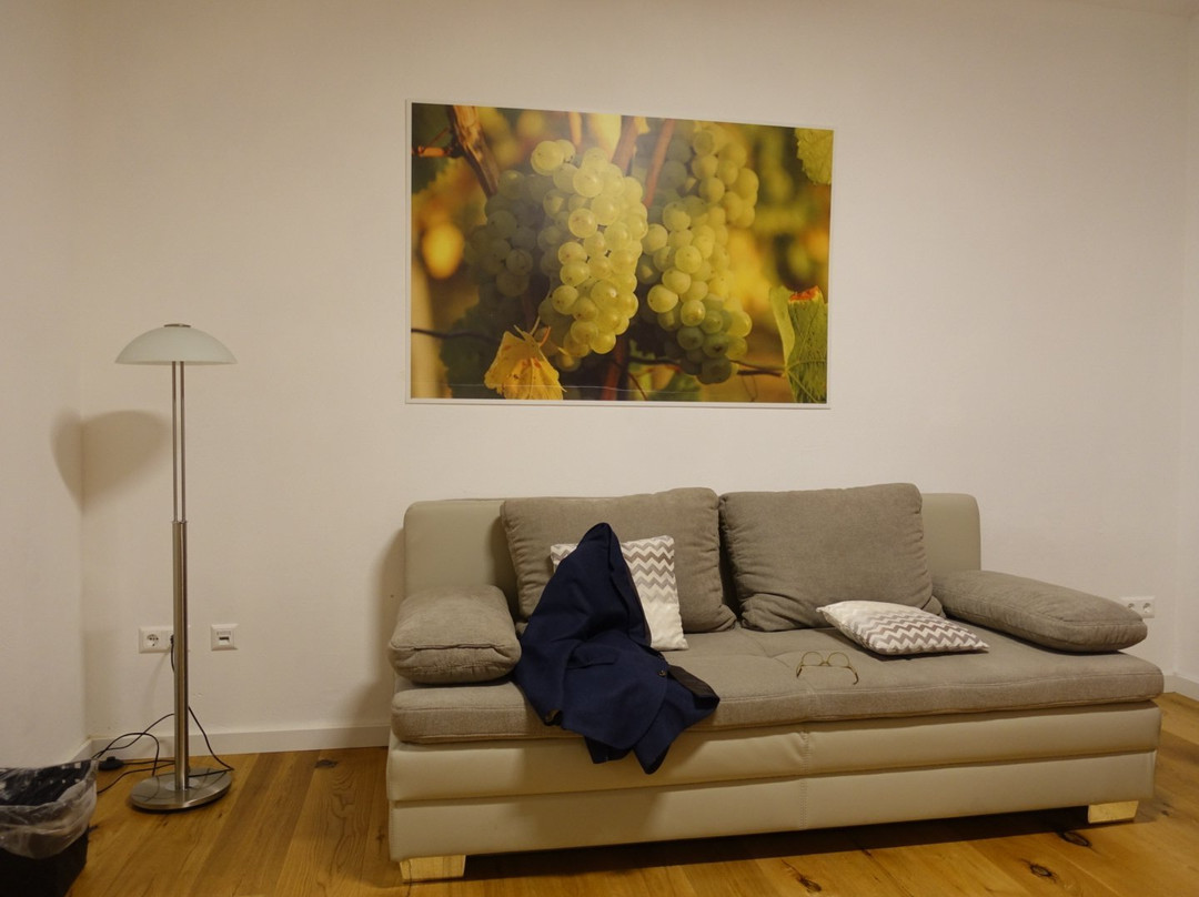 Hotel Weinblatt主图