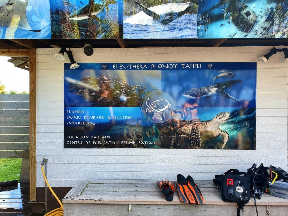 Eleuthera Tahiti Diving Center景点图片