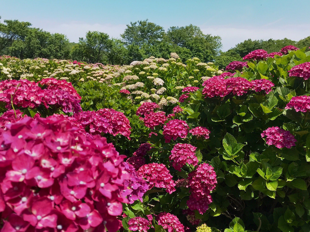 Cape Togenkyo-门川町必去景点