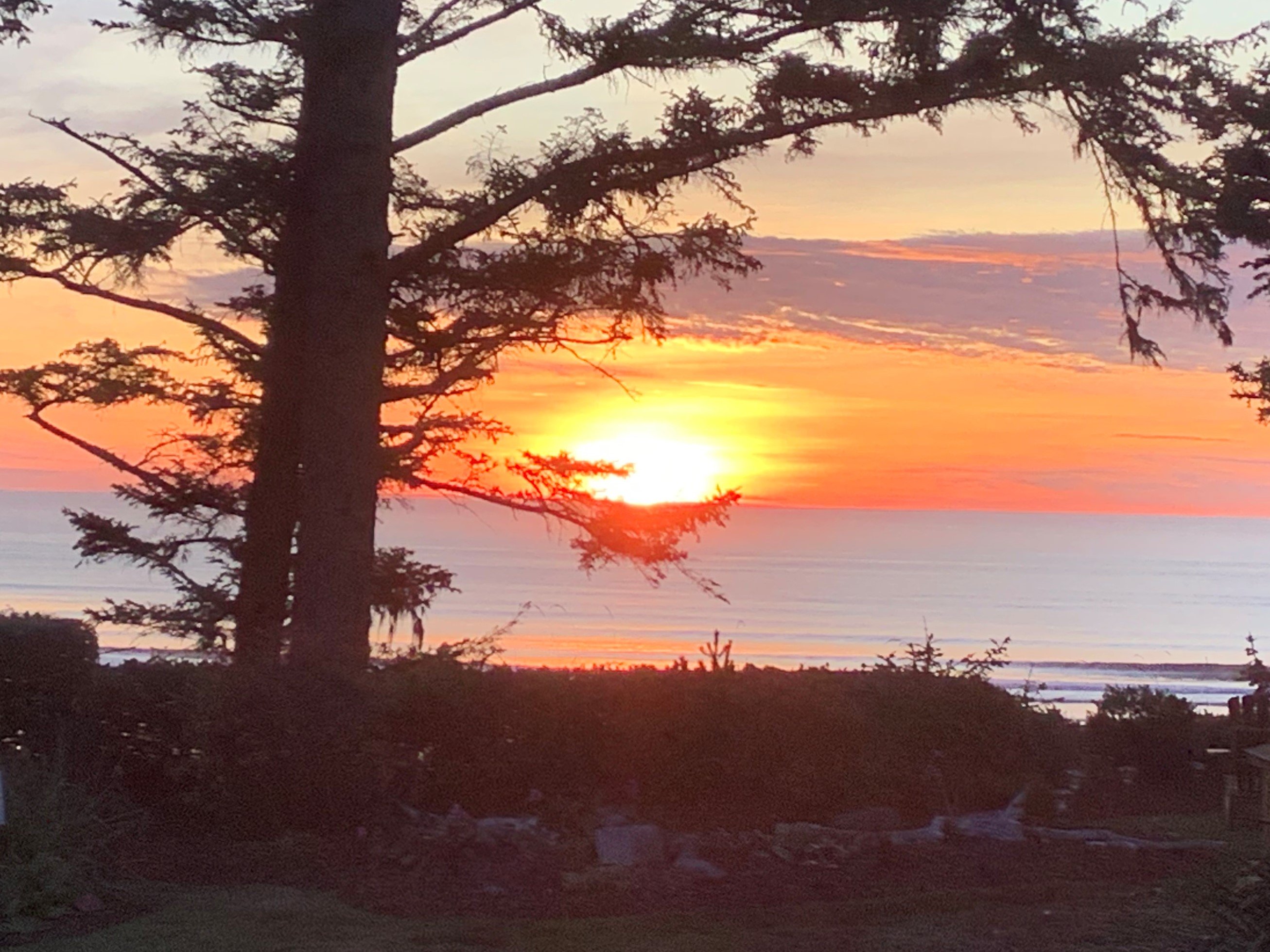 Ocean House Newport Oregon-官方