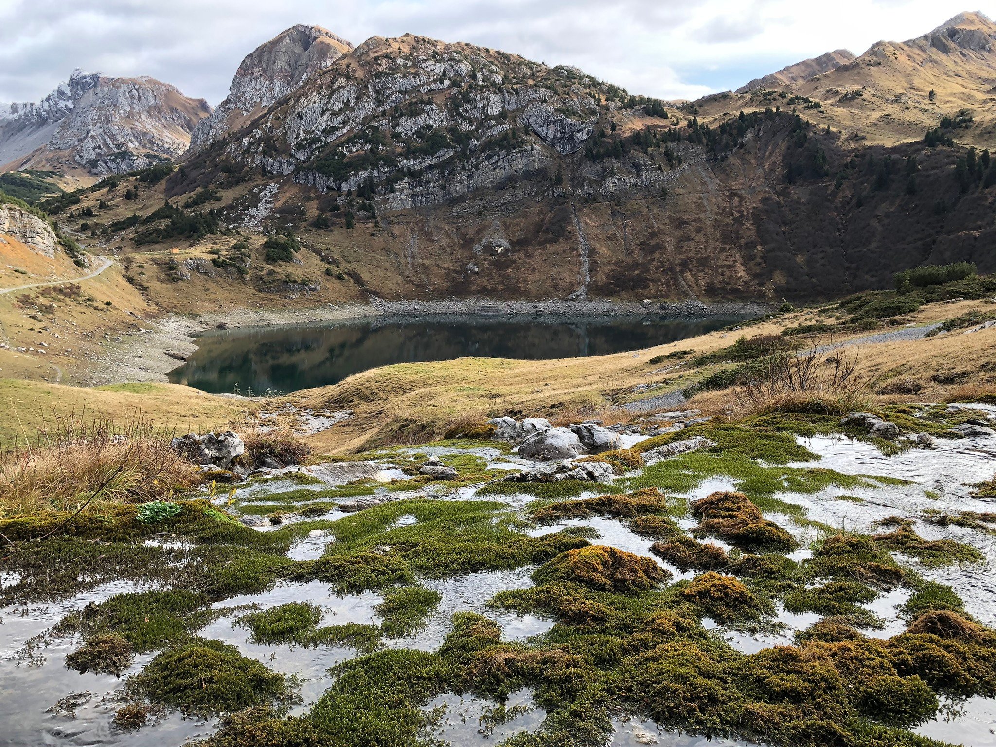 Pension Schafberg-官方