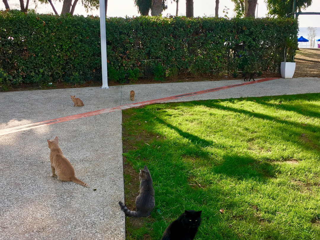 公园海滩酒店主图