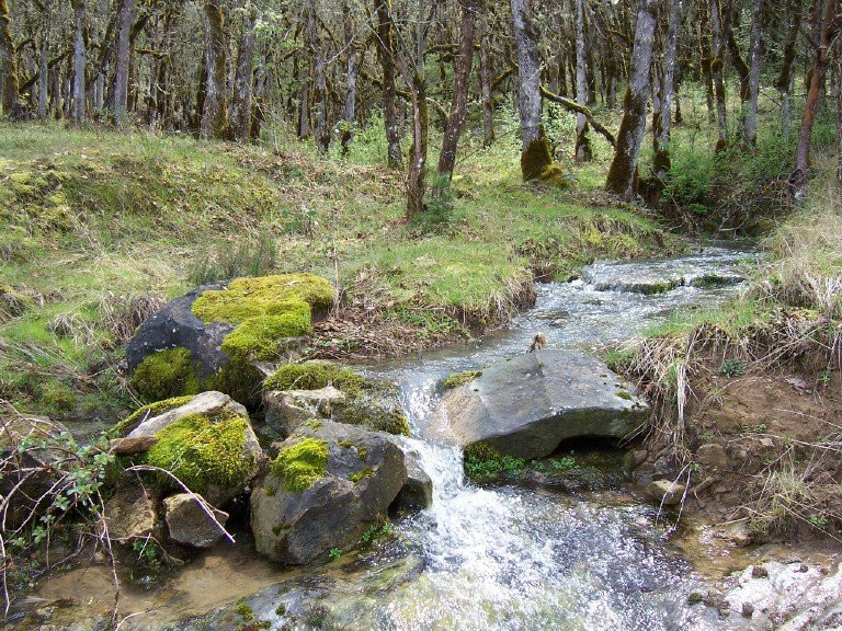 Delfino Vineyards B&B主图