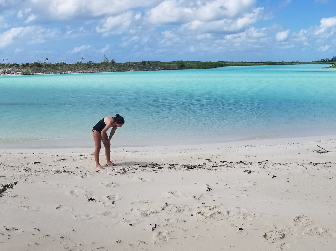 Cat Island Experience-Cat Island必去景点