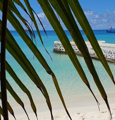 TGI - Maayafushi Diving Center-Maayafushi Island必去景点