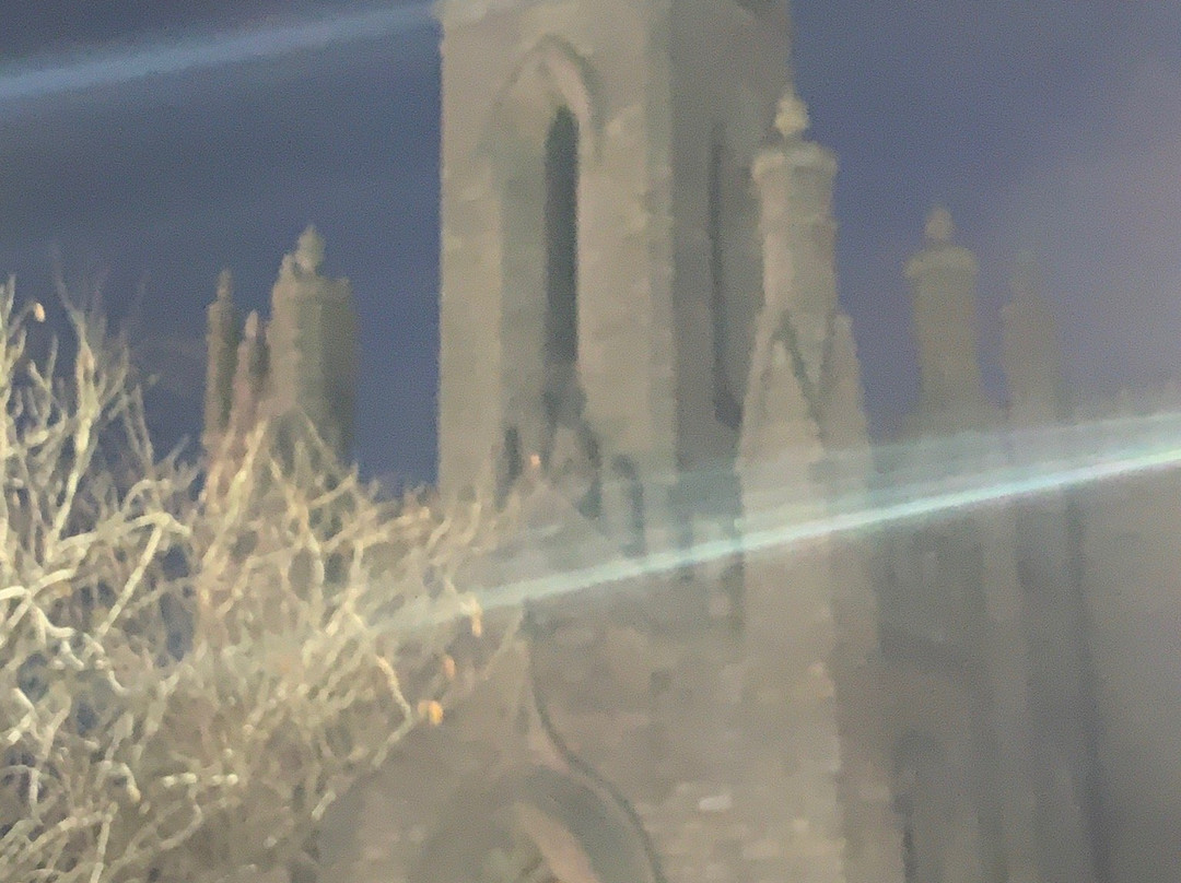 Monkstown Parish Church景点图片