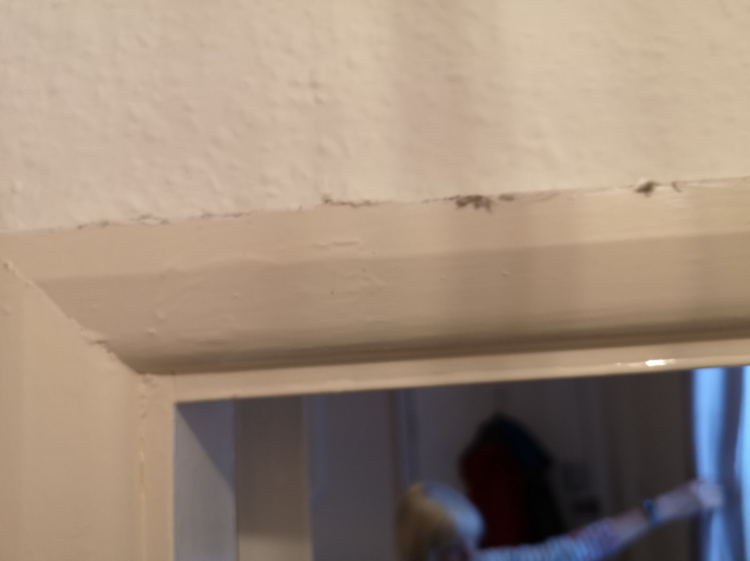 OYO Diamonds Villa主图