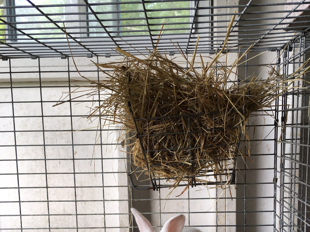 The Benedictine Monks ofWeston Priory-Weston必去景点