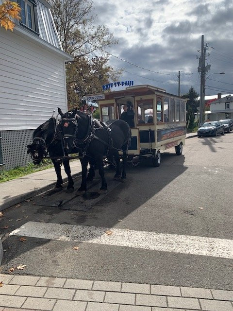 Train de Charlevoix-Baie-St-Paul必去景点