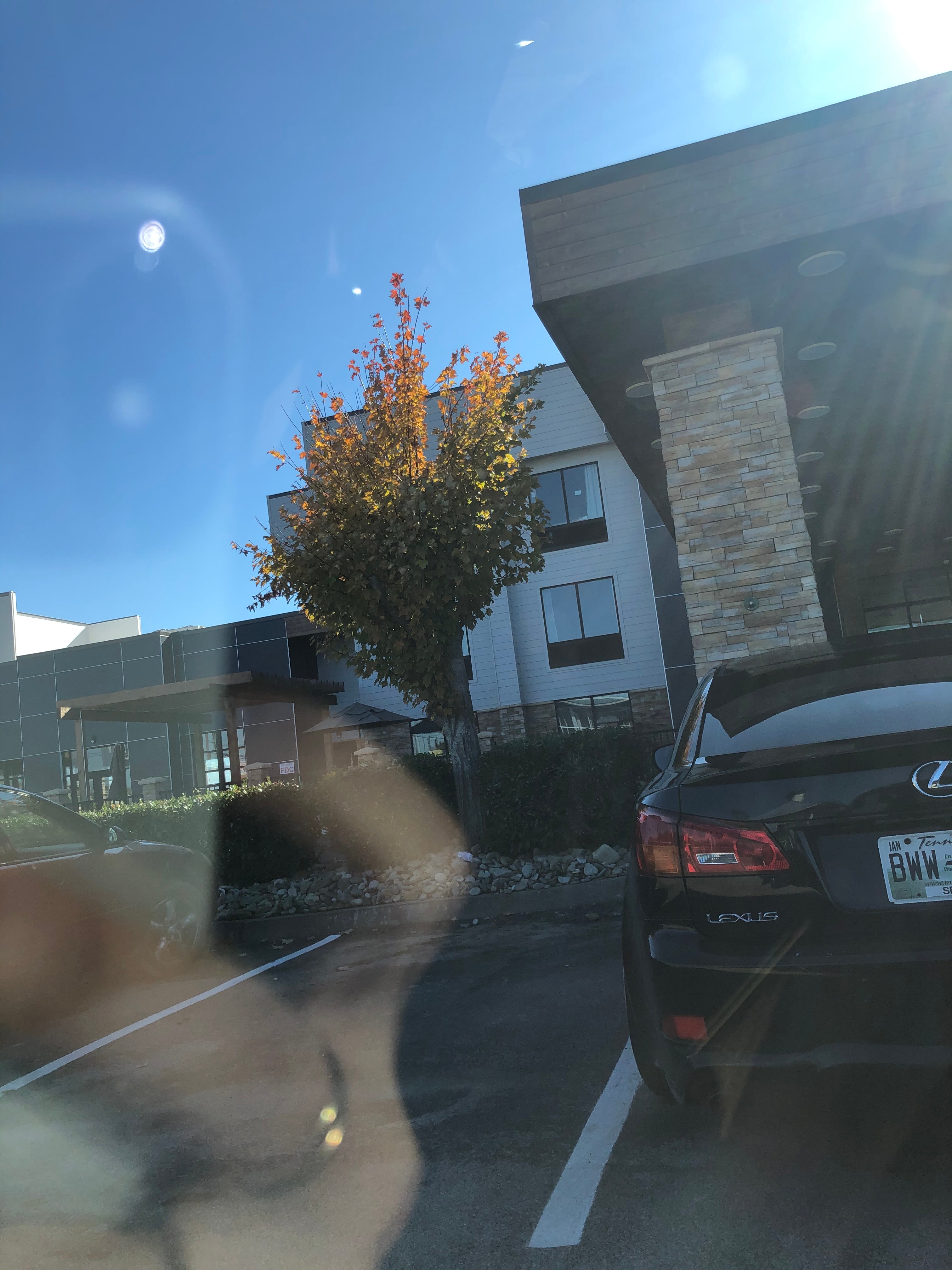 丽笙乡村套房酒店 - 田纳西塞维尔维尔柯达-浴室