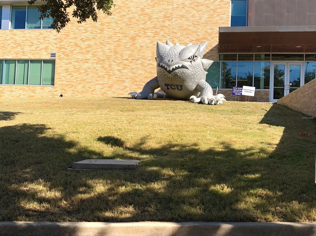 Amon G. Carter Stadium-沃思堡必去景点