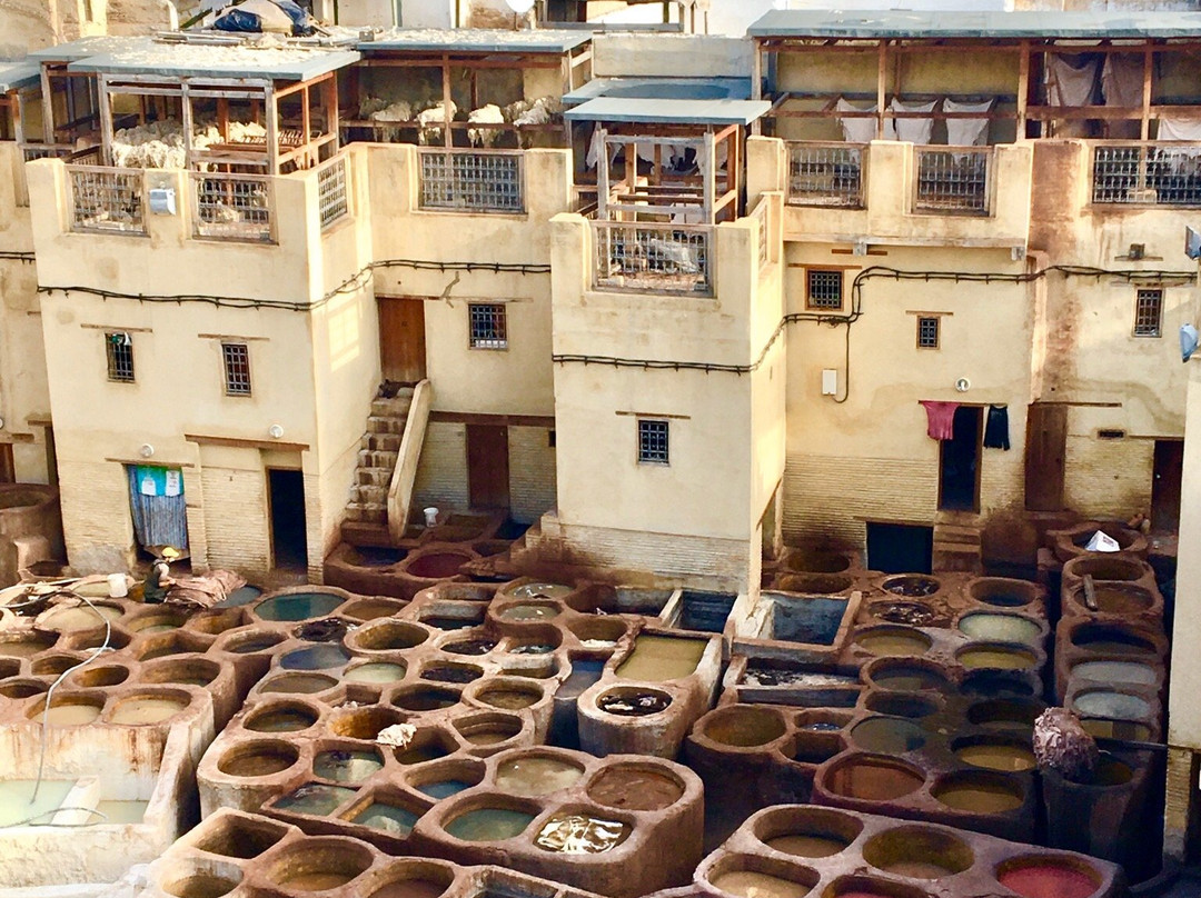 Happy Moroccan Tours-非斯必去景点