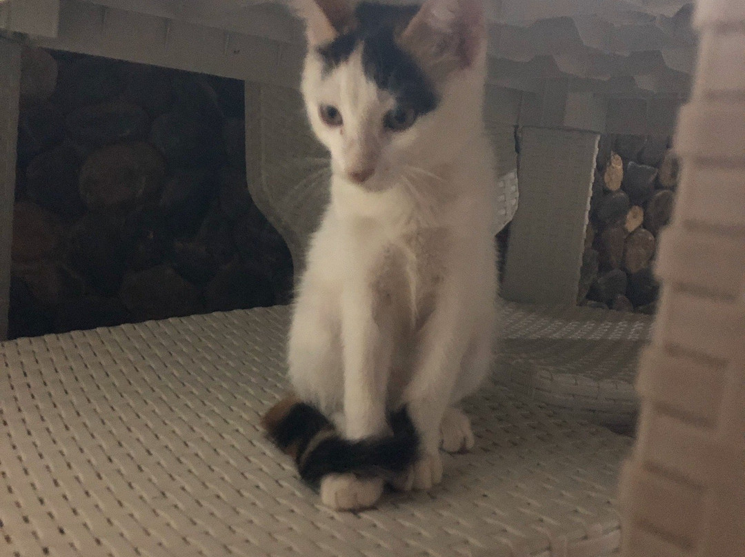 Posadas Ecoturisticas Seineken主图