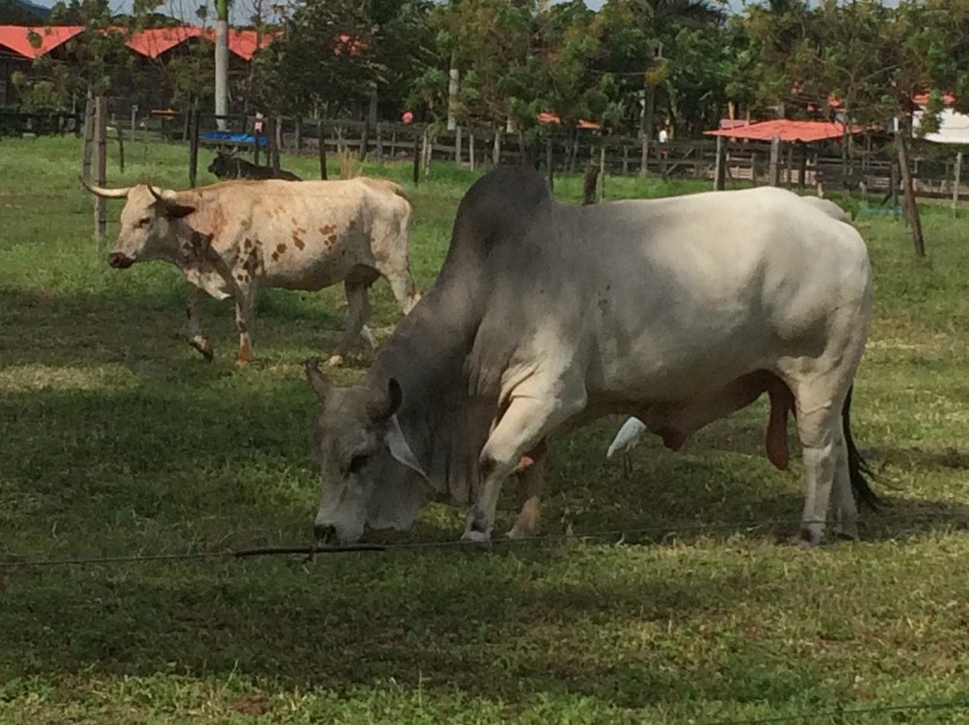 Parque nacional de la Uva-La Union必去景点