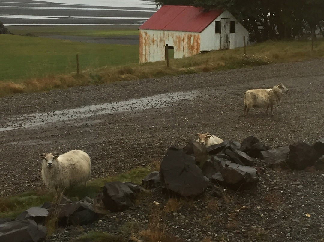 Brekka í Lóní Farm Stay主图