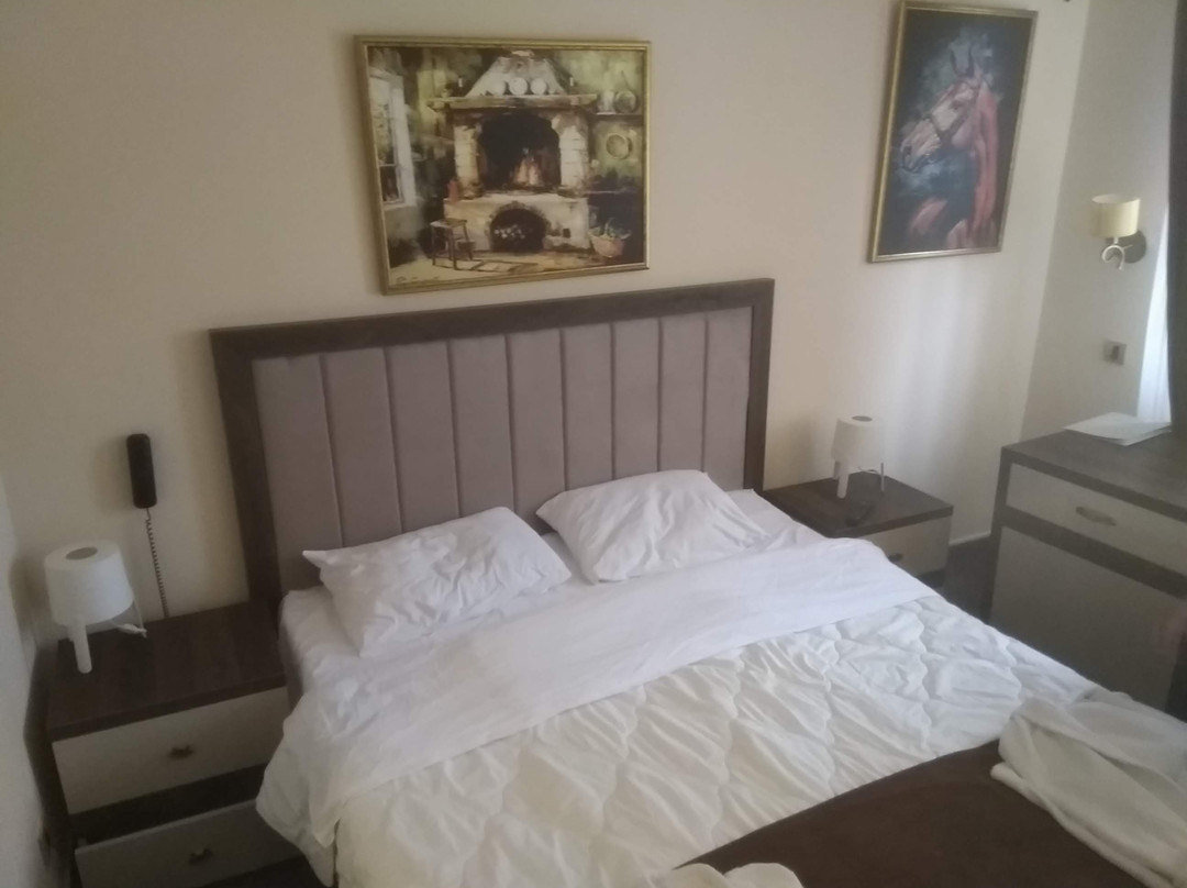 Hotel Oplenac主图