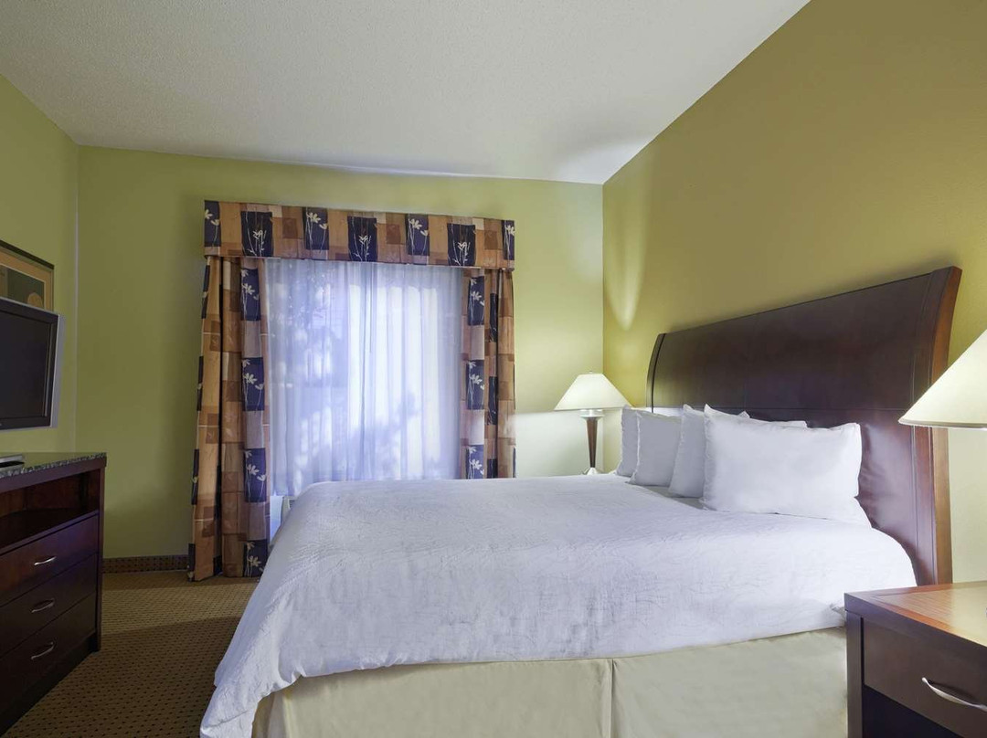 杰克逊维尔奥伦奇公园希尔顿花园旅馆主图