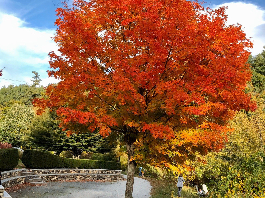 惠特科姆豪斯布里奇住宿加早餐酒店主图