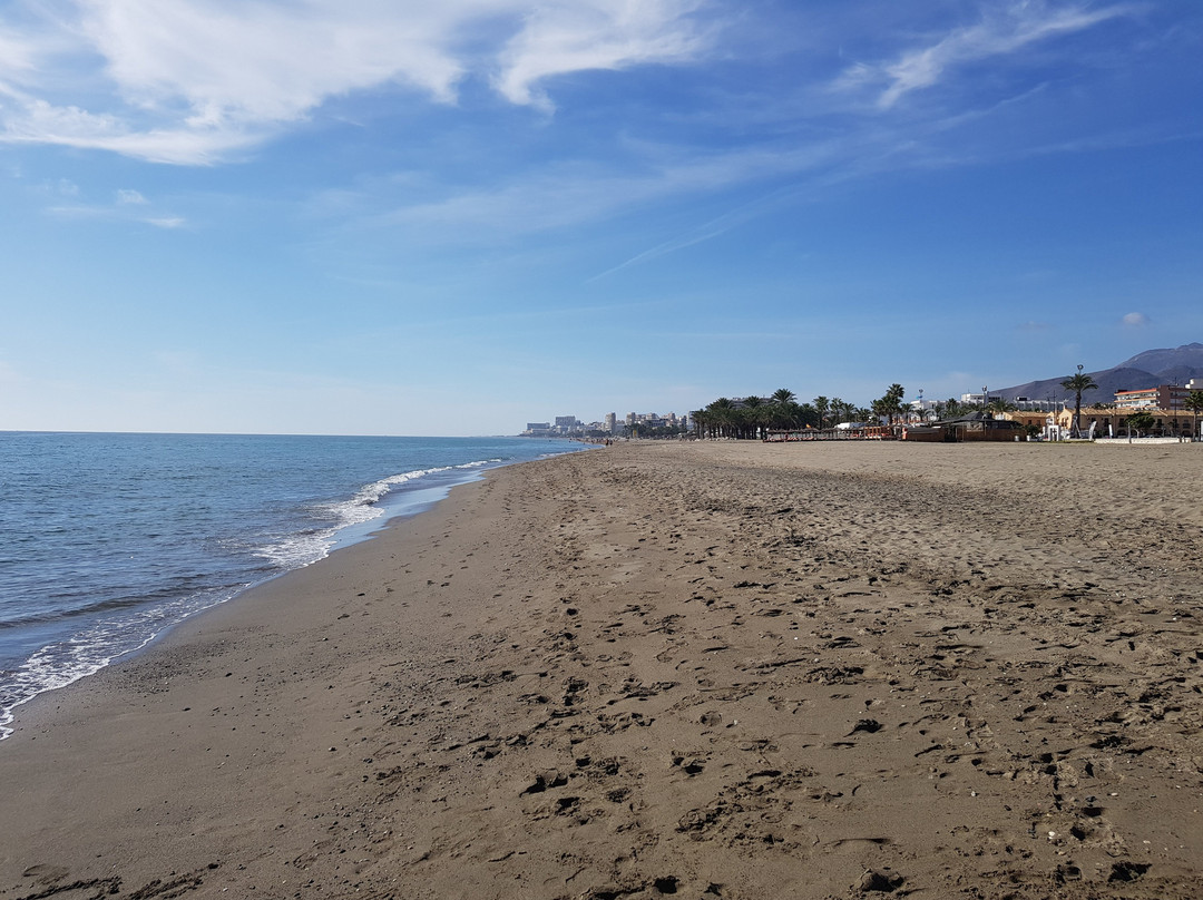 Playa de los Álamos景点图片