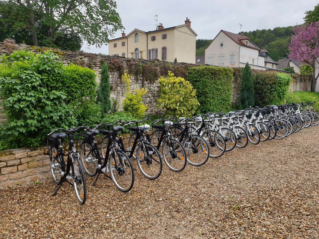 Burgundy Bike景点图片