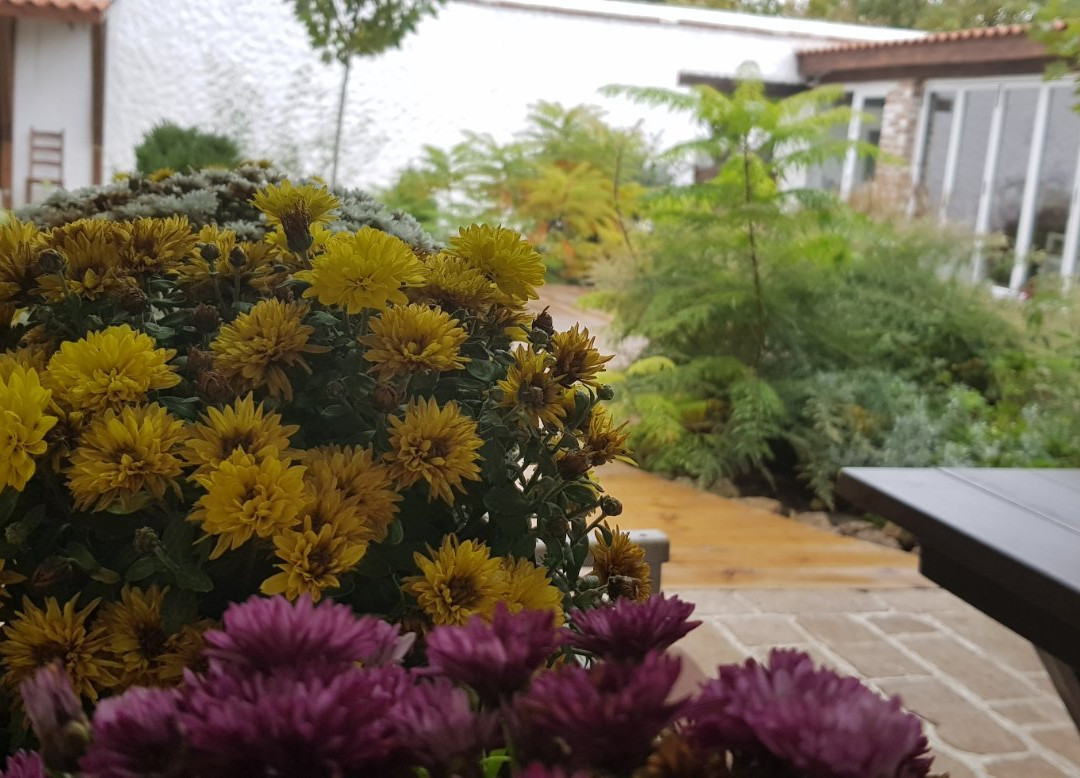 Strumok餐馆和美食-Bessarabskiy Dvorik