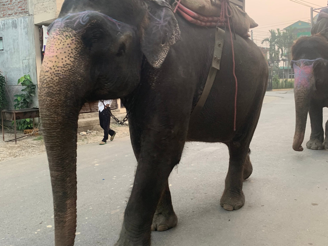 Ghumtee Riviera主图