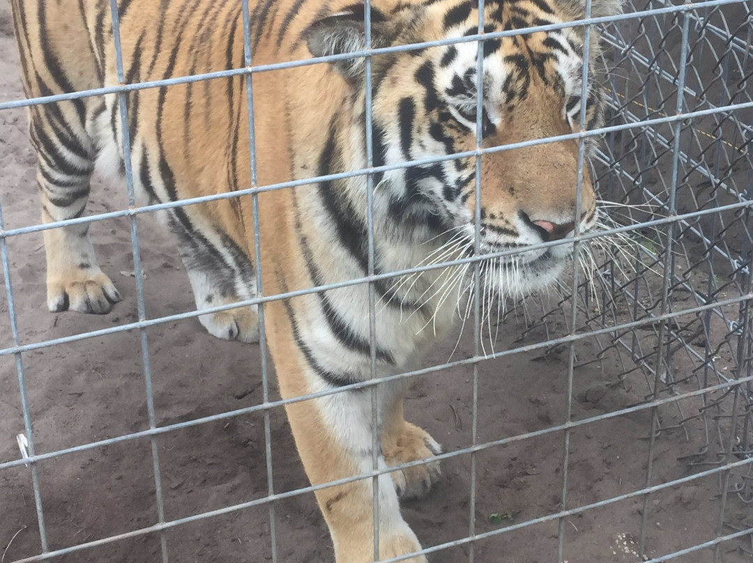 Single Vision Inc.-Melrose必去景点