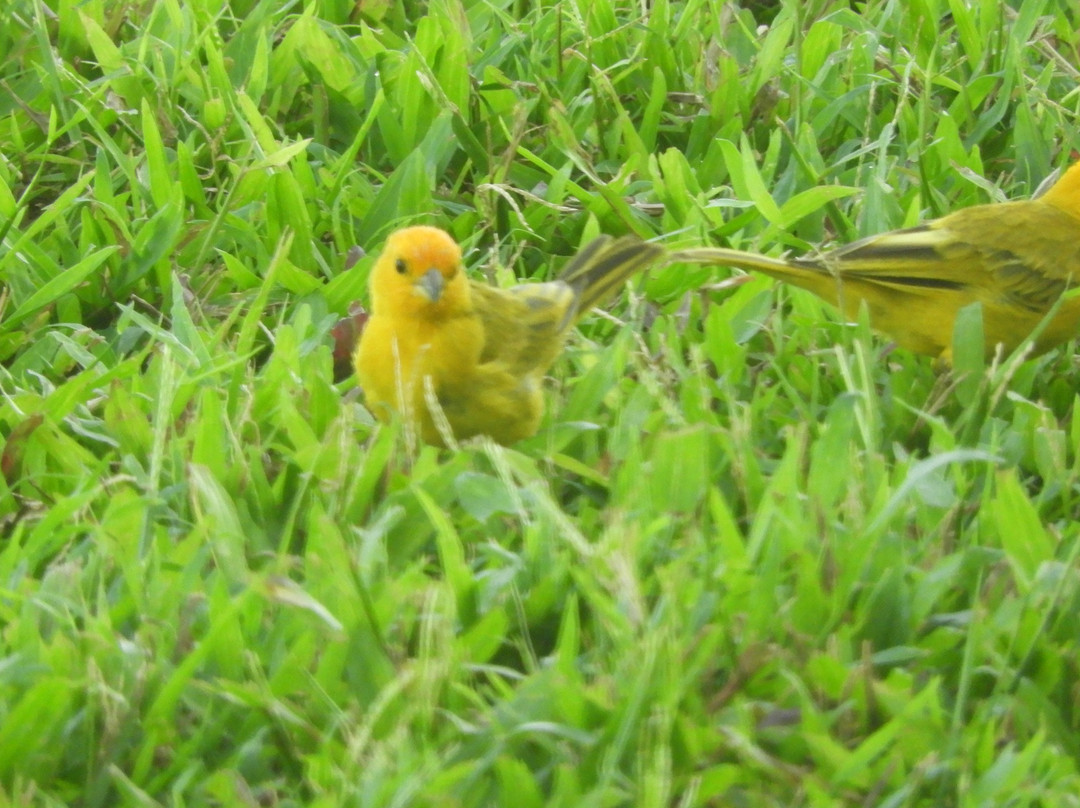 马纳拉尼之角酒店主图