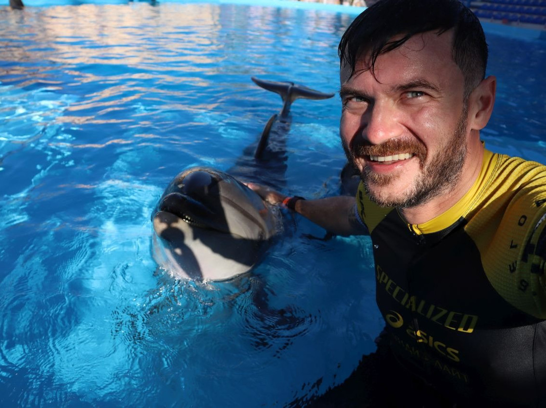 Agadir Dolphin World-阿加迪尔必去景点