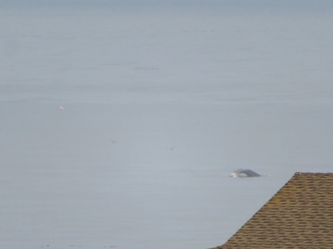 圣西蒙优质酒店主图