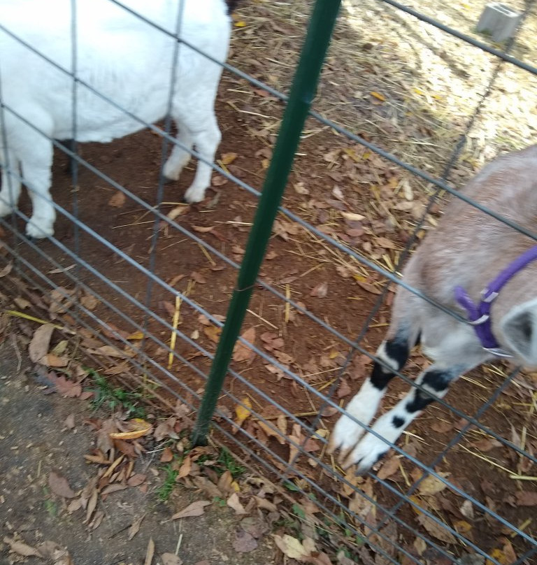 Pumpkin Valley Farm-Dayton必去景点