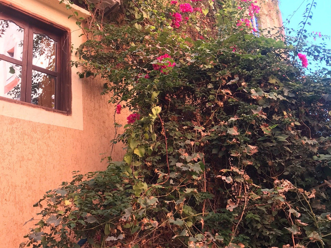 Terrasse Des Cascades主图