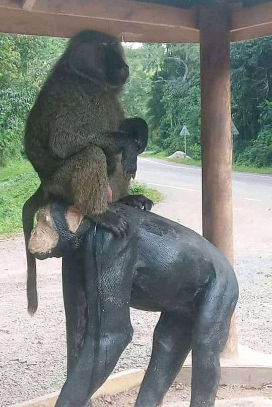 Queen's Pavillon-伊丽莎白女王国家公园必去景点