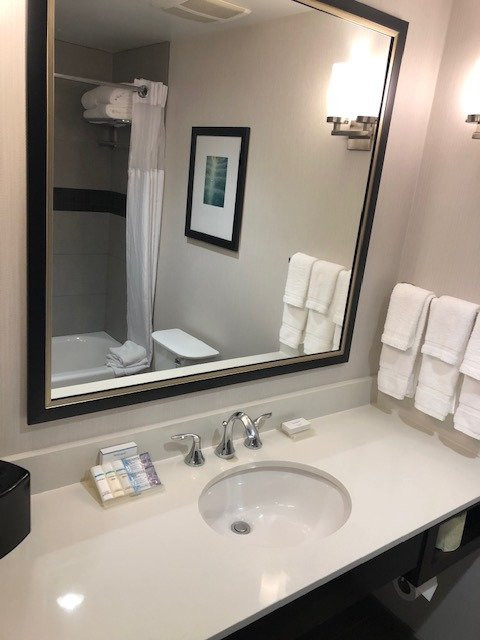 伊尔芬/奥兰治县机场希尔顿花园酒店主图