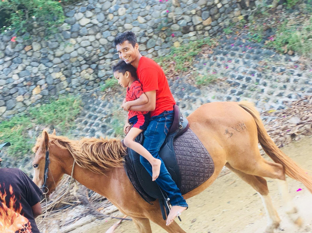 Maui Bay Horse Riding Adventure-苏瓦必去景点