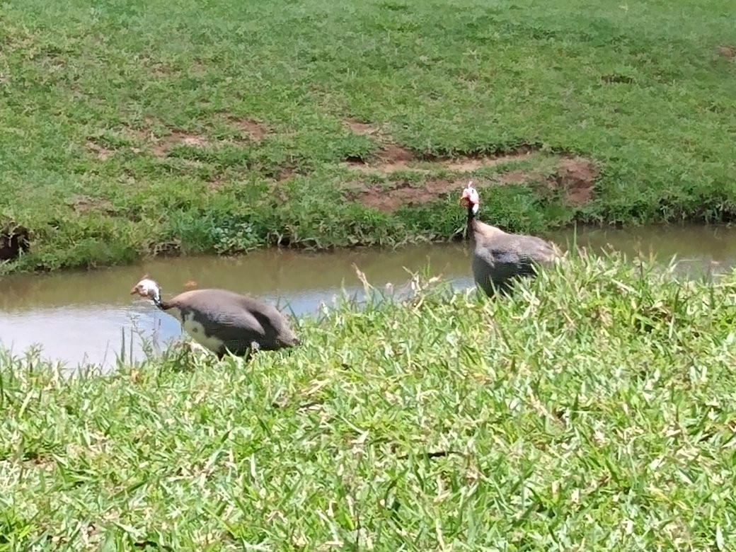 Santa Rosa Falls-Tibagi必去景点