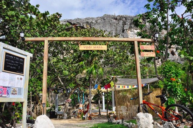 Spot Bay旅游景点-Yogi Wall