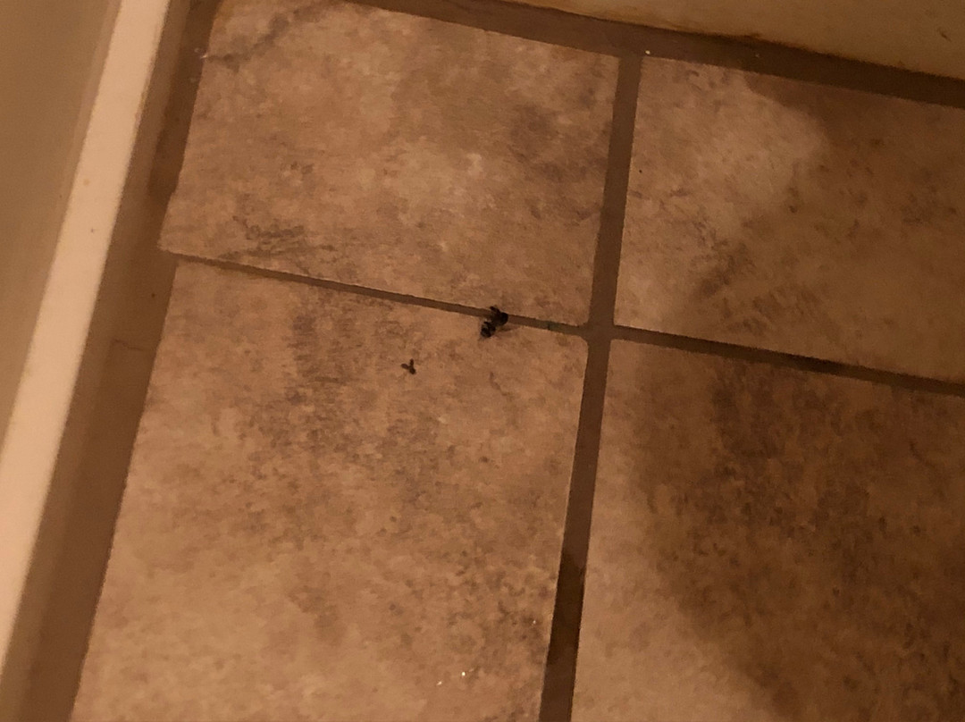 Drifter Motel & Restaurant主图