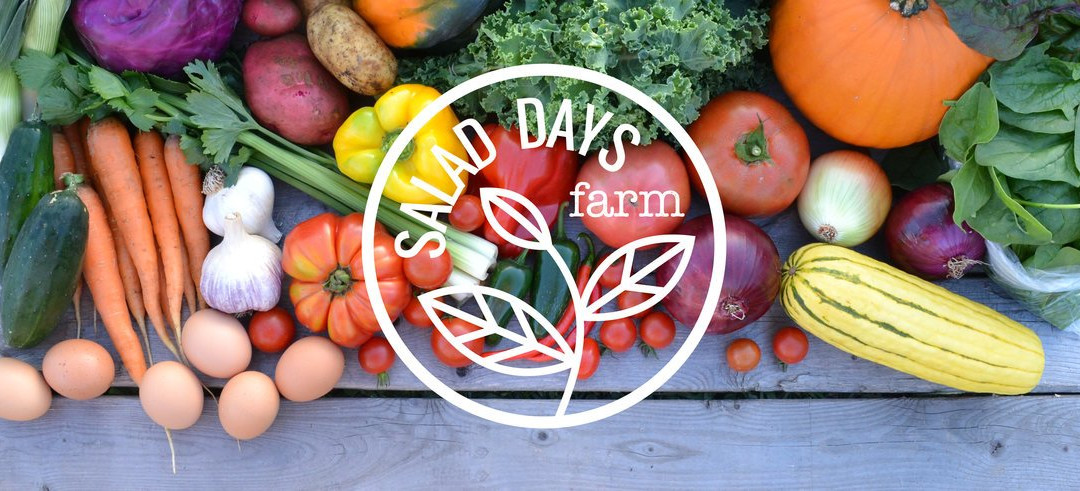 Salad Days Farm
