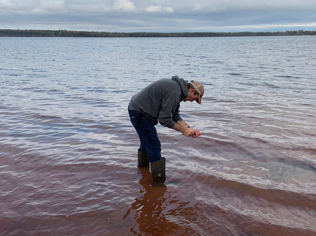 Experience PEI-夏洛特镇必去景点