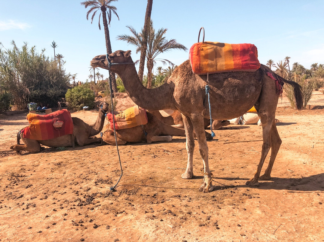 Marrakech Quad Bike-Ait Azzi必去景点