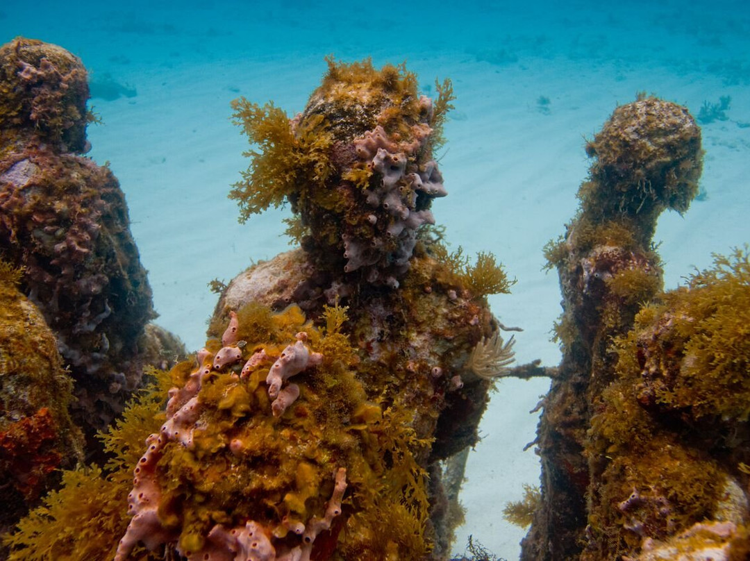 Travel Art Cancun-坎昆必去景点